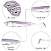 Dr.Fish Paddle Tail Swimbaits, Soft Fishing Lures for Bass Fishing, Freshwater Soft Plastic Baits Swim Shad Bait Minnow Lures Drop Shot, 2.7 Inches Purple