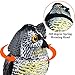 CampFENSE Owl Decoy with Rotating Head, Sculpture with Frightening Sound & Shadow Control (Batteries Not Included)
