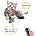 Forum Novelties Rat Toy, PeachFYE RC Funny Wireless Electronic Remote Control Mouse Rat Pet Toy for Cats Dogs Pets Kids Novelty Gift