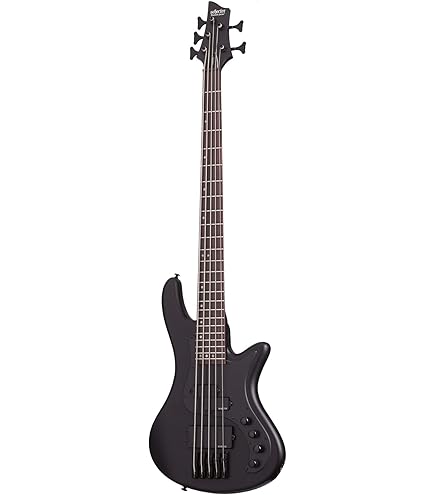 Amazon.com: Schecter Hellraiser Extreme-5 5-String Bass Guitar 