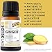 SenseLAB Indian Ginger Essential Oil - 100% Pure Extract Ginger Oils - Therapeutic Grade Essential Oils - Lymphatic Drainage Ginger Oil - Ginger Massage Oil - Hair Care Oil - Ginger Root Oil (10 ml)
