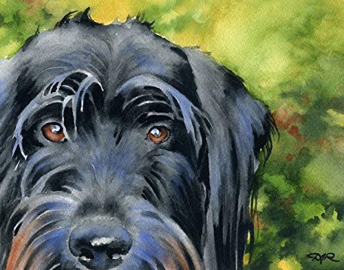 black goldendoodle art