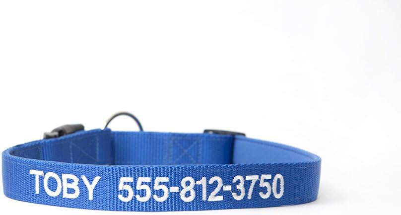 qualtry dog collar