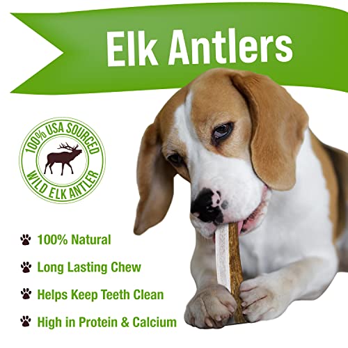 For Dogs Buck Bone Organics Buck Bone Organics Dog Chews, Antlers