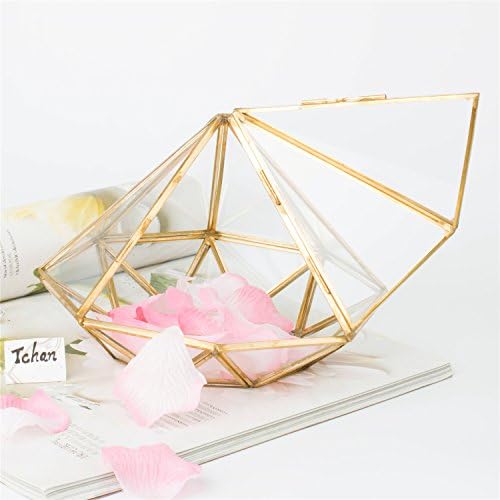 Geometric Succulent Planter Terrarium Container - Tchan Glass Brass Diamond Shape Cactus Succulent Pots Home Decor Jewelry Storage (Gold)
