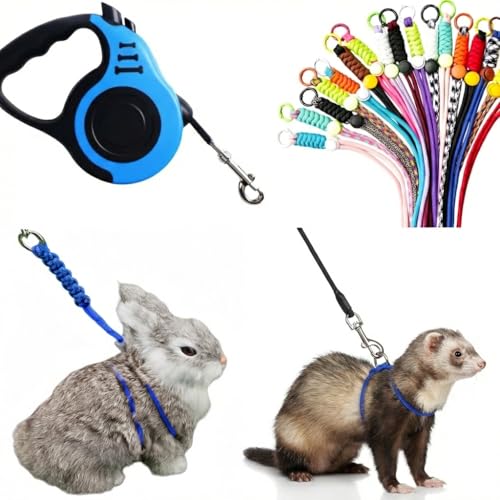 Generic Small Pet Harness and Leash