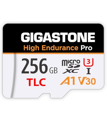 Amazon.com: SanDisk MAX Endurance - Tarjeta MicroSD de 128 GB