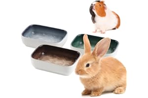 DQITJ 3 Pack Hamster Ceramic Bowl Small Animals Anti-Turning Food Water Bowl for Rabbit Sugar Glider Hamster Guinea Pig Hedgehog Squirrel ((Blue, Green and Brown)