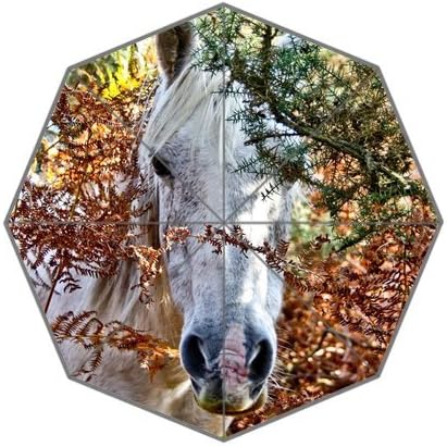 Generic Easy Carry With Auto Foldable Rainy / Sunny Gifts Totes Compact Umbrella - White Horse Head Close Up Authentic Design