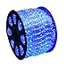 WYZworks 1656LEDs 150ft LED Outside Rope Lights, Outdoor ETL Certified Waterproof Permanent 360 Degree Light Emitting, Flexible Tube, Connectable, Christmas Palm Tree Exterior Landscape, Blue
