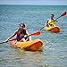 Ocean Kayak Frenzy 1-Person Sit-On-Top Recreational Kayak (Sunrise, 9 Feet)