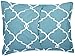 Amazon Brand – Pinzon 300 Thread Count 100% Cotton Percale Duvet Cover Set - Full or Queen, Spa Blue