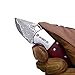 KUBEY KU66 Small Knife, Folding Knife and Pocket EDC, Drop Point Blade with Thumb Open, Rosewood Handle with Lanyard, for Outdoor Hunting Camping and Hiking (KU66-1)