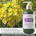 BOTANICAL HAIR GROWTH LAB - Volume Conditioner - Lavender Cypress - Essential Hair Recovery - Sensitive Scalp/Rejuvenating - For Hair Thinning Prevention Alopecia Postpartum DHT Blocker - 10.2 Oz