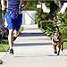 Youandme Retractable Dog Leash, 16 ft Dog Walking Leash for Medium Large Dogs up to 110lbs, Tangle Free, One Button Break & Lock, Reflective Ribbon Cord