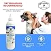 Stuart Pet Supply Co. Antiseptic Cat & Dog Ear Infection Treatment - Vet Formulated for Infections, Inflammation, Itching, Discharge & Smelly Ears 100% Guaranteed 12oz.
