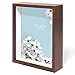 Swing Design Chroma Shadow Box Frame, 8 by 10-Inch, Walnut