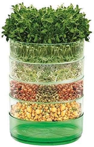 Johnsons Seed Microgreens Kitchen Seed Sprouter - Image 3