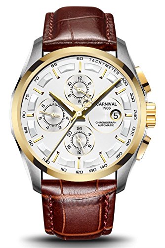 Men's Automatic Self-Wind Analog Watch Large Dial Stainless Steel Waterproof Date Genuine Leather Band (Gold White)