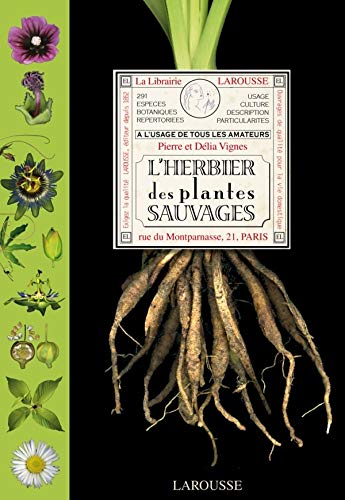 L'herbier des plantes sauvages by Pierre Vignes, Délia Vignes