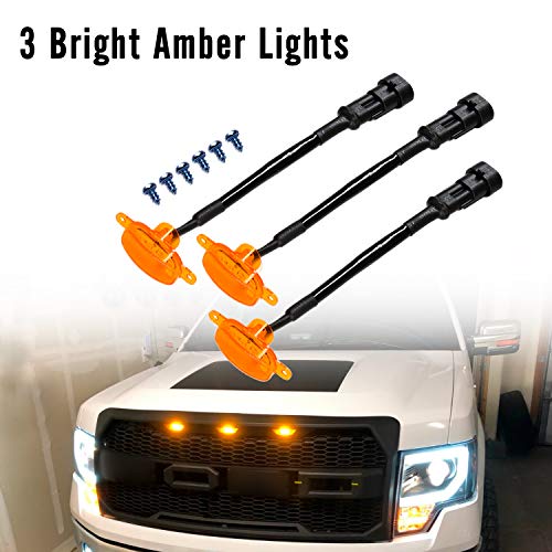 3 Motorium+2009+2014+Including+Lariat+Raptor