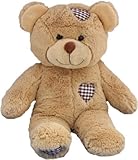 Personalized Long Message Recordable 15 Inch Talking Teddy Bear with 60 seconds of Recording Time