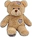 Personalized Long Message Recordable 15 Inch Talking Teddy Bear with 60 seconds of Recording Time
