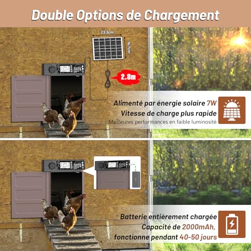 MASTERFUN Large Size Automatic Solar Chicken Coop Door with 7W Solar Panels, LCD Display, Automatic Aluminium Chicken Coop Door with Light Sensor, Timer, Anti-Pinch Function