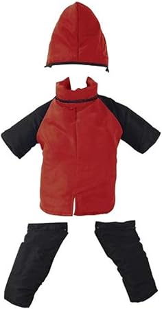 stop leash pulling cesar millan