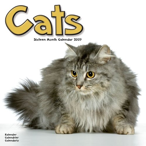 2009 Cats Wall Calendar