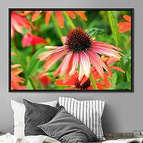 signwin Framed Canvas Wall Art Blooming Closeup Botanical...
