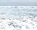 Blue Beach Art, Ocean Waves Coastal Decor, Seascape Wall Art, California Beach House Pictures - 8x10 Matted Photographic Print (not framed), 'Fresh Surf'
