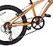 Diamondback Bicycles Cobra Kid's Mountain Bike, 20