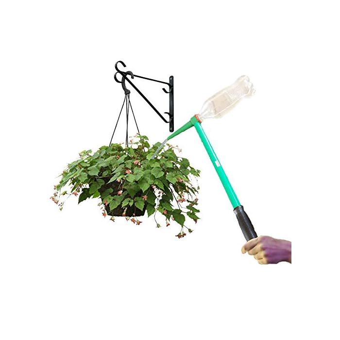 Buy Massca Hanging Plant Waterer for Indoor and Outdoor Plants 16