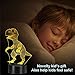 Holybo Kids Boys Toys,3D Night Light Dinosaur Toys for Boys/Kids/Chlidren Bedroom Lamps,Brithday/Xams Gifts Dinosaur Night Light with 7 Colors Changing.(T-Rex Baby)