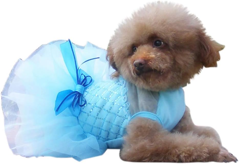 cheap dog clothes for yorkies