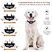 Bark Collar, 2019 Newest Rechargable Waterproof 7 Adjustable Sensitivity Levels Dog Bark Collar with Beep Vibration and Harmless Shock Dog Barking Collar for Small Medium Large Dogs