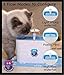 Purrfect World Cat and Dog Water Fountain w/Carbon – Ion Exchange Filter : 84 Oz / 2.5L Capacity : Provides Fresh Filtered Water for Your Petthumb 4