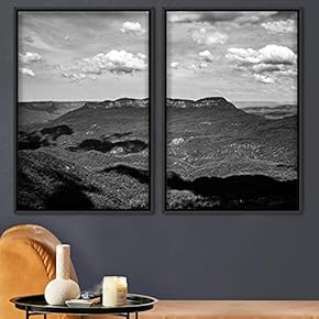 signwin 2 Piece Framed Canvas Wall Art Black...