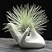 Dahey Air Plant Holder Set of 3 Cute Ceramic Hand Shape Stand Airplants Tillandsia Container Pot Plant Decorative Home Decor for Desk Table Shelf