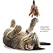 Gigwi Feathers Cat Toys Wands Set, 2 Pack of Interactive Cat Wand Teaser Cat Fishing Pole Toy with Fuzzy Worms, Anti-Skid Rubber Handle 25 Inches Long, Entertaining Cat Toys for Boredom