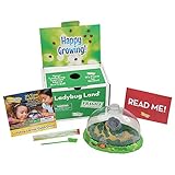 Insect Lore Deluxe Ladybug Land with Live Larvae