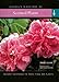 Scented Plants: Instant Reference to More Than 250 Plants by 