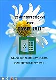 Image de Je me perfectionne avec Excel 2013: Tableaux de gestion, graphiques, solveur, fonctions financières... (French Edition)