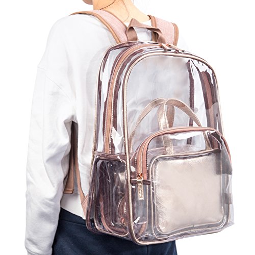 NiceEbag 6 In 1 Clear Backpack With Cosmetic Bag & Case, Clear
