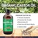 VASSOUL Organic Castor Oil - USDA Certified Organic 100% Pure, Cold-Pressed, Best Treatment for Eyelashes Growth Serum - Promotes Natural Eyebrows, Hair & Eyelash Growth, Protect Nail and Skin