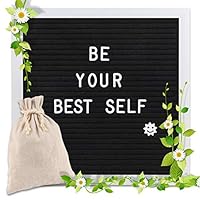 Changeable Letter Board 10x10 inches, Message Sign Board with Canvas Bag, Adjustable Stand,Wall Mount and 340 Letters, Numbers & Symbols (White)