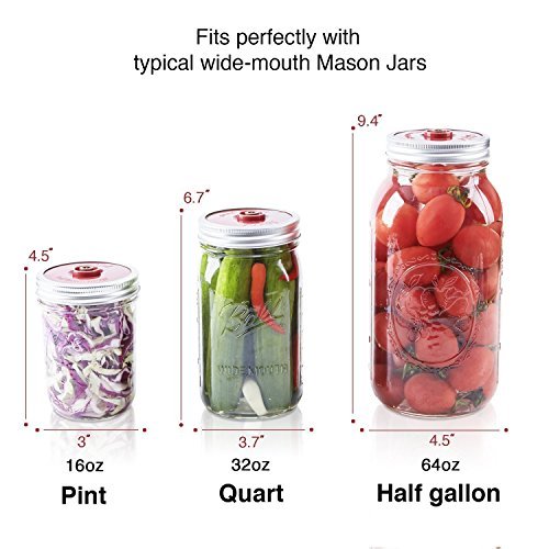 5 Fermentation+Weights+Ferment+Record+Labels