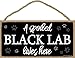 Honey Dew Gifts A Spoiled Black Lab Lives Here 5 inch by 10 inch Hanging Black Lab Decor, Wall Art, Decorative Wood Sign Home Decor, Black Lab Gifts, 75493