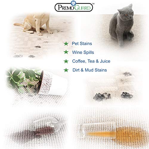 Stain & Odor Remover - Professional Enzyme Spray - Removes Soiling from Dogs/Cats/Pets - Safely Cleans Carpet/Flooring/Upholstery - Effective On Wine/Blood/Vomit/Urine - Natural Eco Friendly - 32oz